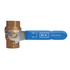 BK Resources (BKG-BV100) 1" Ball Valve